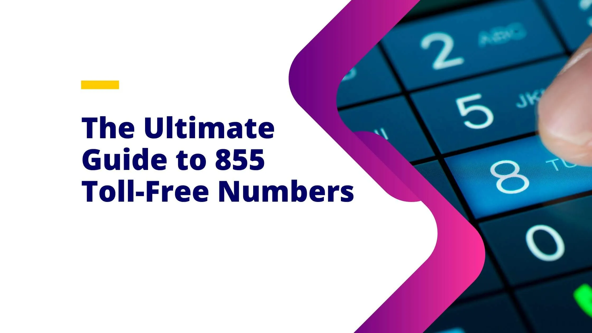 855 area code meaning
